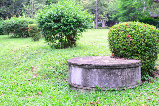 Drain field area