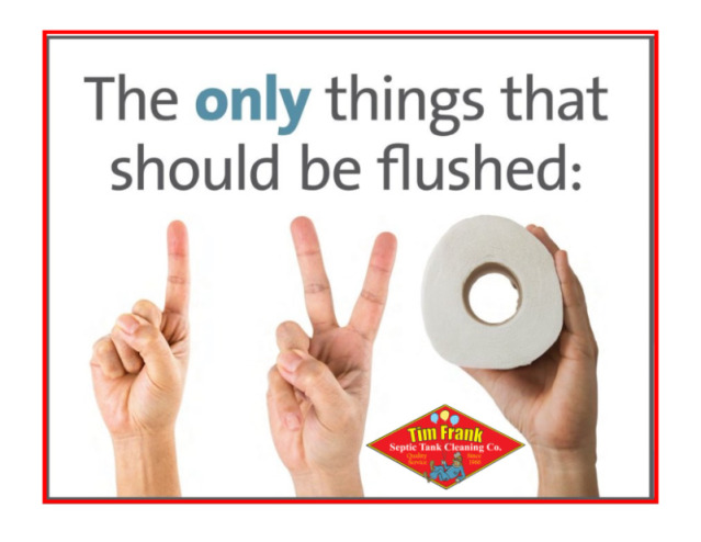 The only things that should be flushed: #1, #2, & toilet paper. 